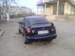 мой звер