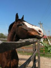 7ая встреча фото 8