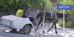 Молдаване