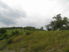 Karpaty