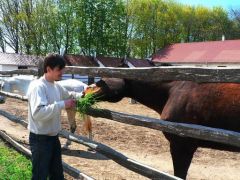 7ая встреча фото 9