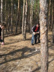 шашлык 29.03.2009