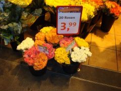 20 роз за 4 евро