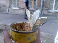 паштет