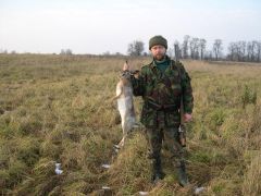 зайчик