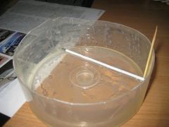 Ненужная мисочка