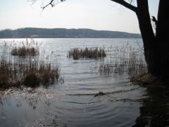 шашлык 29.03.2009