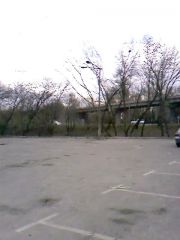 парковка3