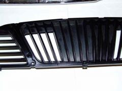 Задняя часть