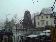снег в конце марта в Женеве