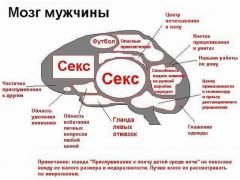 Мозг