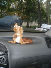 Мая зверюга )))