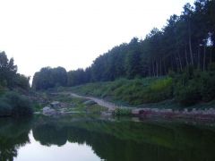 Софіївка