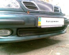 Сетка в бампер.