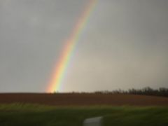 Умань
