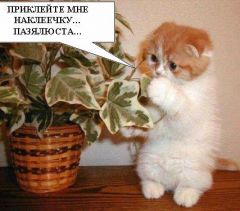ВВВ