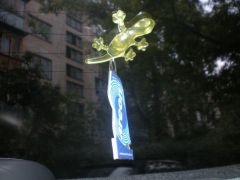 Мои вонючки )))))))))