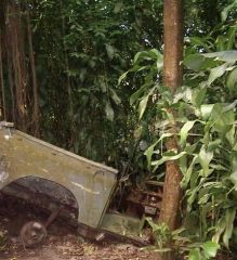 Вот такой транспорт в тропическом лесу