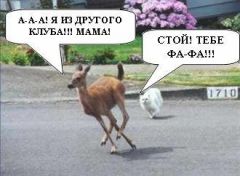юМОр