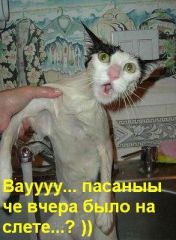 ДВАЛУВ